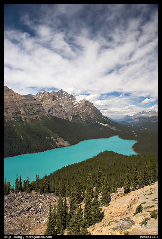 Peyto Lake, turquoise-colored by glacial flour, mid-day. Banff National Park, Canadian Rockies, Alberta, Canada