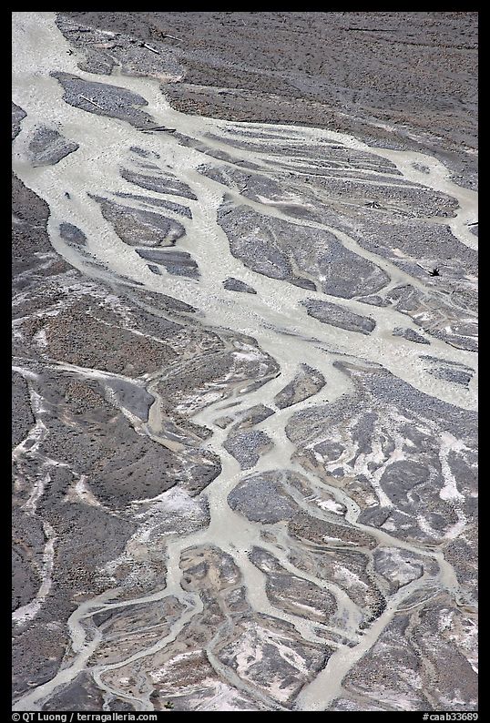 Braided stream on glacial flat near Peyto Lake. Banff National Park, Canadian Rockies, Alberta, Canada