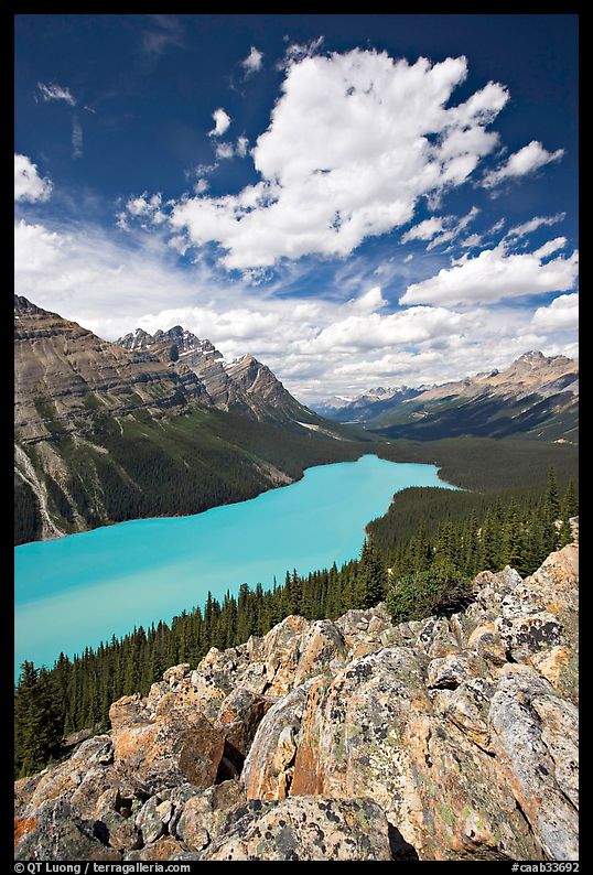 Turquoise Peyto Lake. Banff National Park, Canadian Rockies, Alberta, Canada