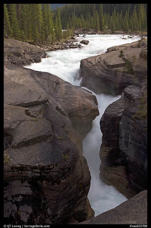 Entrance of slot, Mistaya Canyon. Banff National Park, Canadian Rockies, Alberta, Canada
