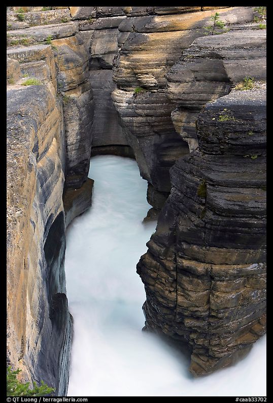 Stratified layers of rock cut by water, Mistaya Canyon. Banff National Park, Canadian Rockies, Alberta, Canada