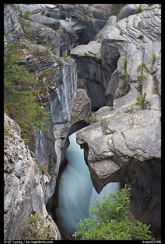 Limestone rock carved by river, Mistaya Canyon. Banff National Park, Canadian Rockies, Alberta, Canada