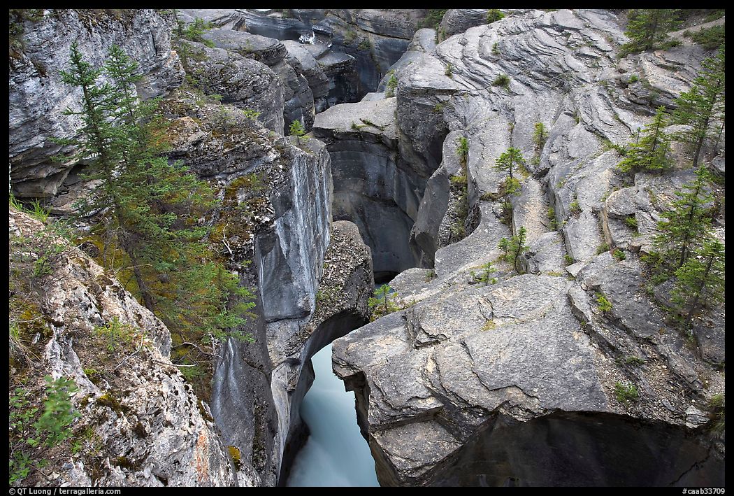 Narrow slot cut in limestone rock by river, Mistaya Canyon. Banff National Park, Canadian Rockies, Alberta, Canada