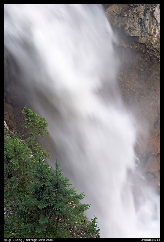 Water and trees, Panther Falls. Banff National Park, Canadian Rockies, Alberta, Canada