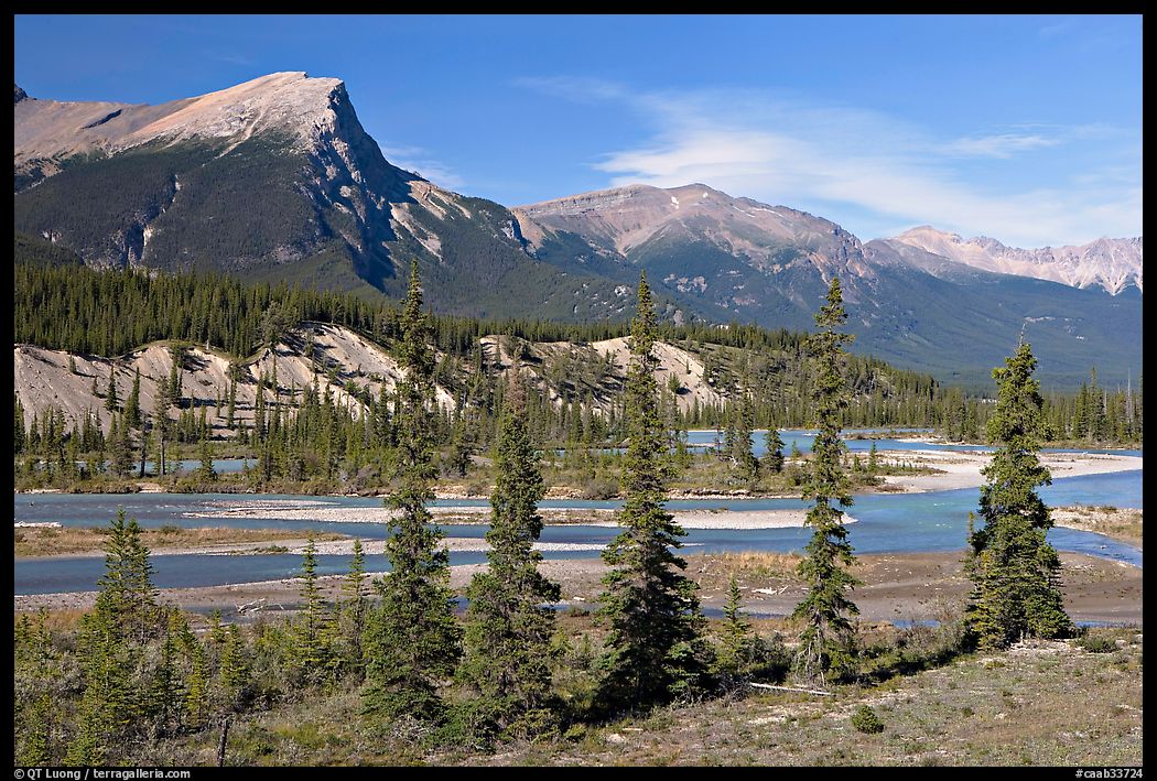 Saskatchevan River. Banff National Park, Canadian Rockies, Alberta, Canada