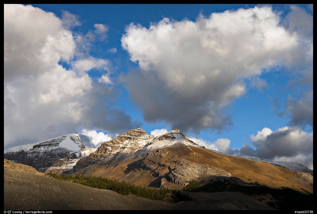 Peak and cloud near the Columbia Icefield,  early morning. Jasper National Park, Canadian Rockies, Alberta, Canada