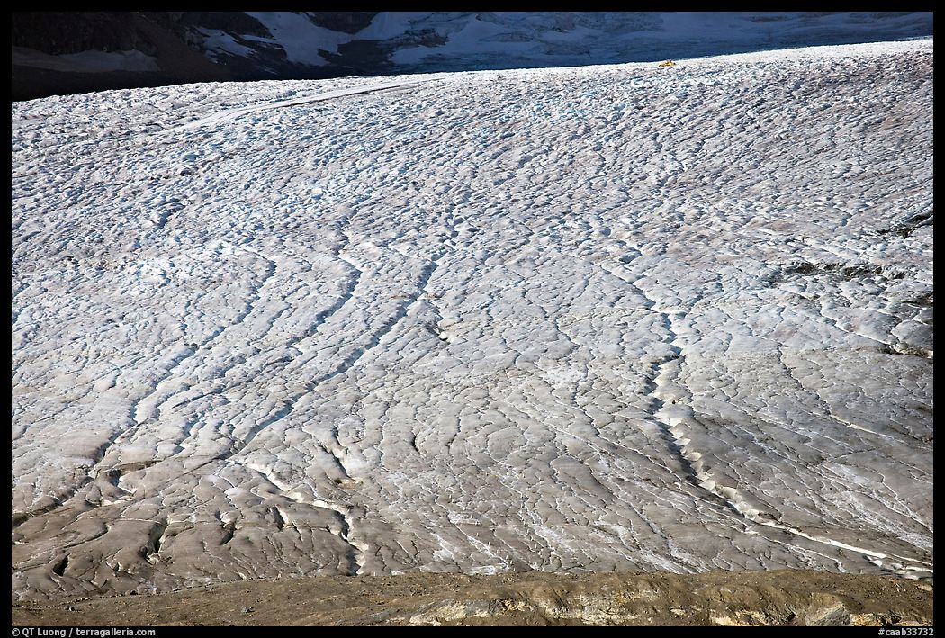 Crevasse patters on Athabasca Glacier. Jasper National Park, Canadian Rockies, Alberta, Canada