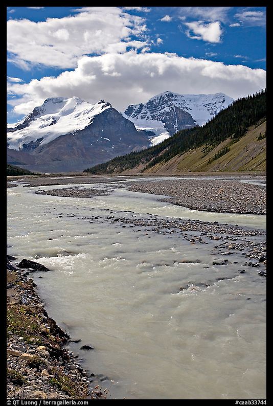 Wide Sunwapta River and Mt Athabasca, morning. Jasper National Park, Canadian Rockies, Alberta, Canada