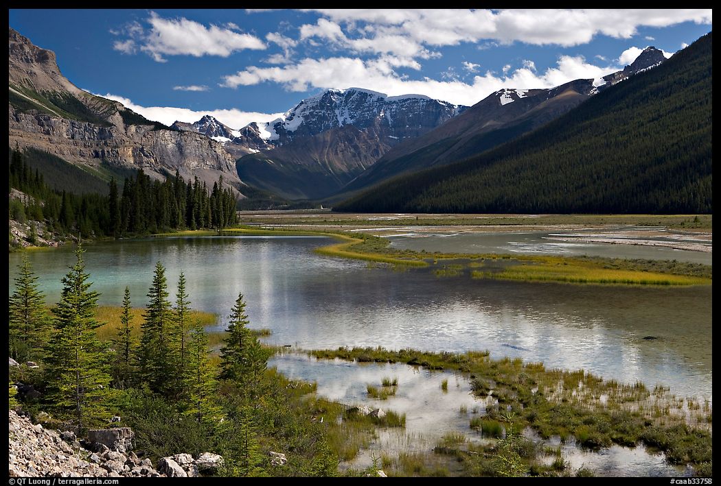 Refecting pool near Beauty Creek, afternoon. Jasper National Park, Canadian Rockies, Alberta, Canada