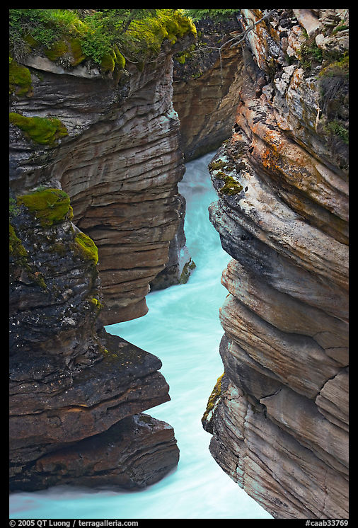 Narrow canyon at the base of Athabasca Falls. Jasper National Park, Canadian Rockies, Alberta, Canada