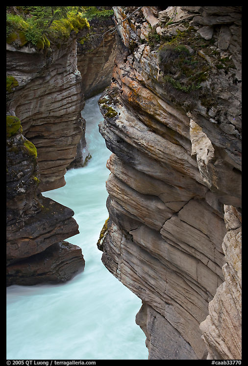 Gorge at the base of Athabasca Falls. Jasper National Park, Canadian Rockies, Alberta, Canada