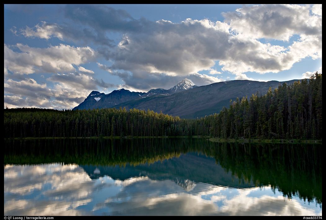 Peaks and clouds reflected in Leach Lake, sunset. Jasper National Park, Canadian Rockies, Alberta, Canada