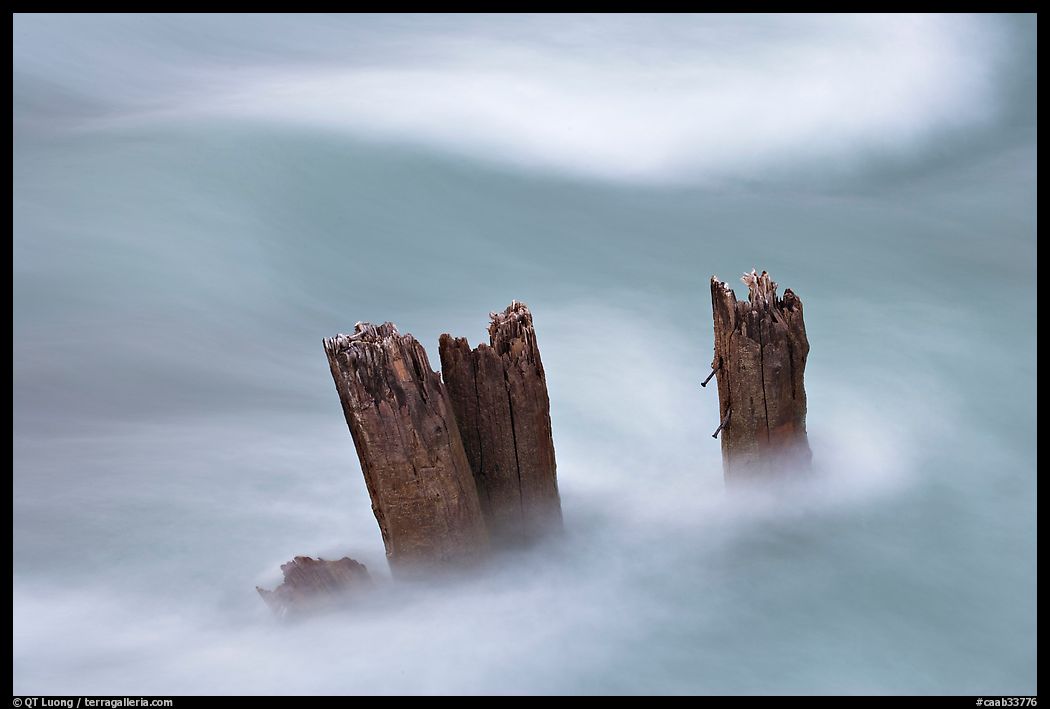 Stumps in the Whirlpool River. Jasper National Park, Canadian Rockies, Alberta, Canada