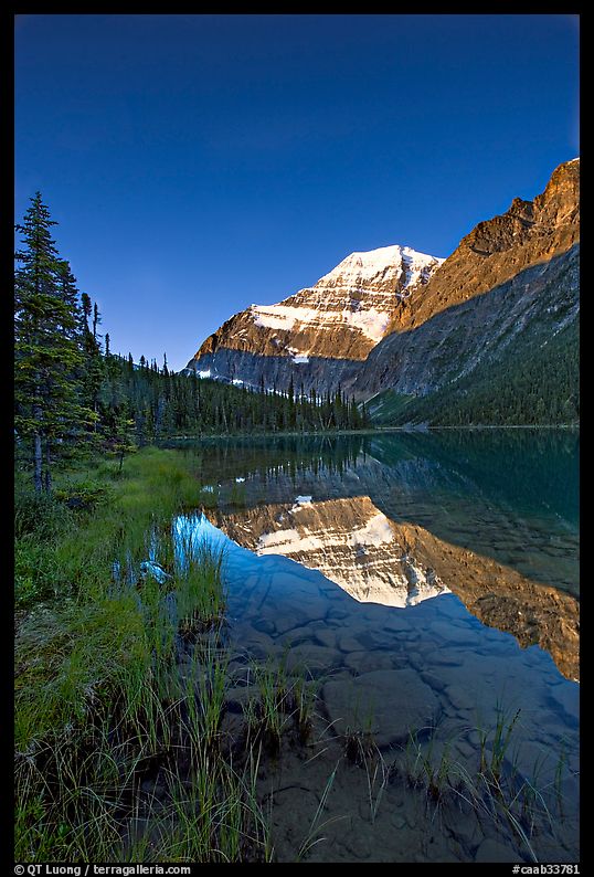 Mt Edith Cavell reflected in Cavell Lake, sunrise. Jasper National Park, Canadian Rockies, Alberta, Canada