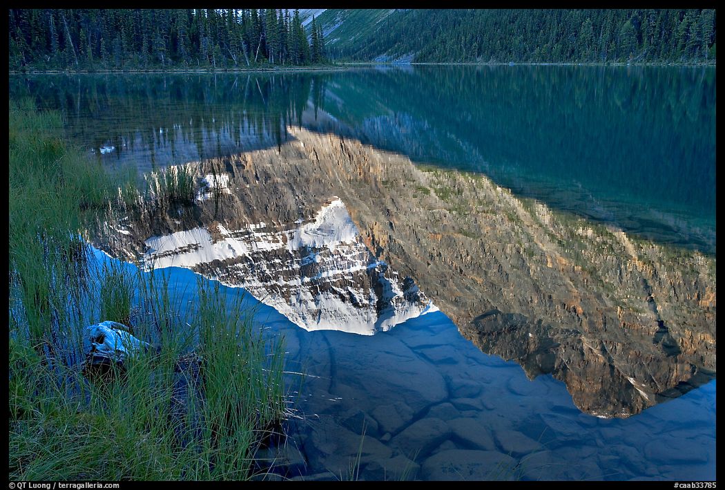 Reflexions in Cavell Lake, early morning. Jasper National Park, Canadian Rockies, Alberta, Canada
