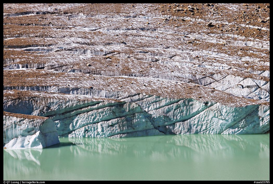Cavell Glacier calving into a glacial lake. Jasper National Park, Canadian Rockies, Alberta, Canada