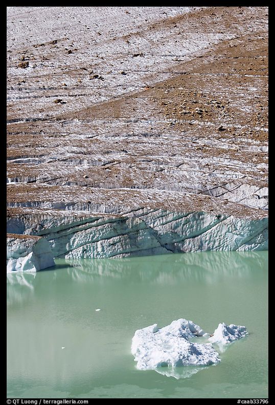 Iceberg, Cavell Pond, and Cavell Glacier. Jasper National Park, Canadian Rockies, Alberta, Canada