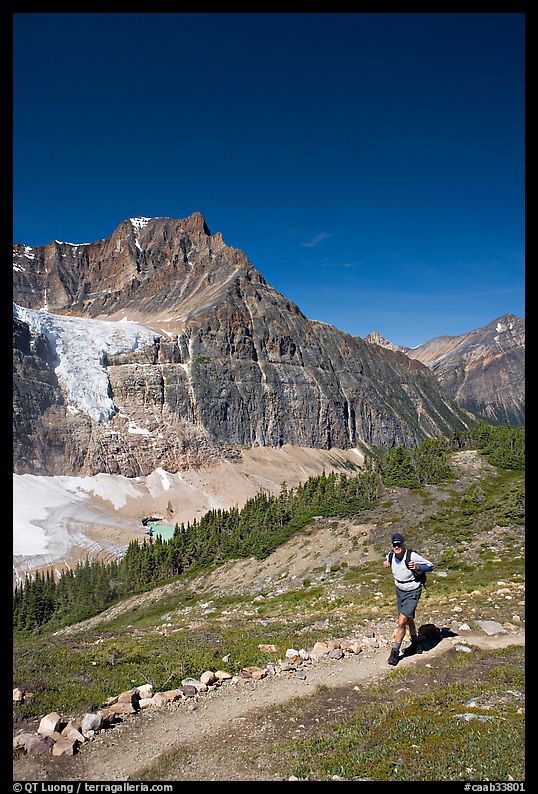 Hiker on a trail below Angel Glacier. Jasper National Park, Canadian Rockies, Alberta, Canada