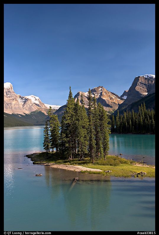 Evergreens on Spirit Island, Maligne Lake, afternoon. Jasper National Park, Canadian Rockies, Alberta, Canada