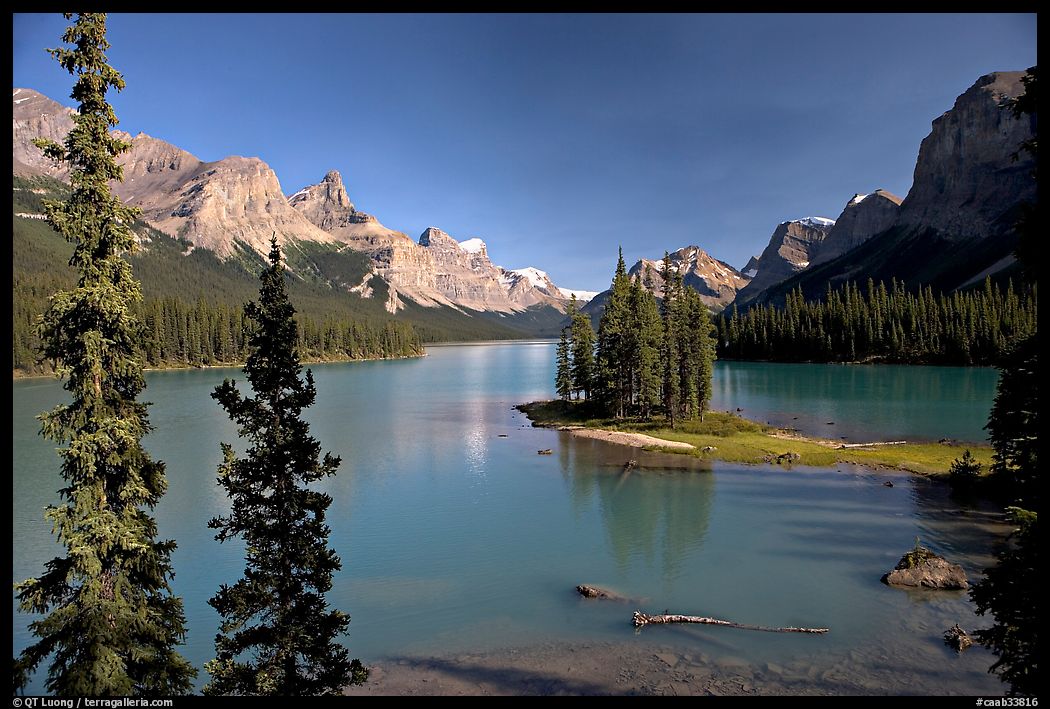 Tiny island with evergreens on  Maligne Lake, afternoon. Jasper National Park, Canadian Rockies, Alberta, Canada