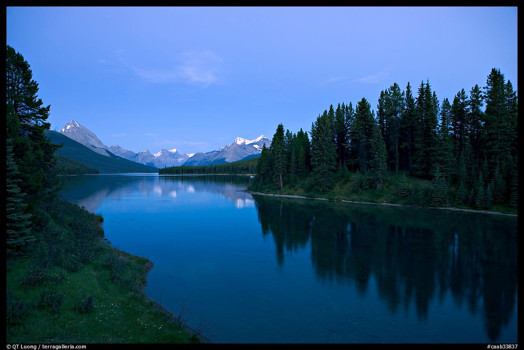 Maligne River outlet, row of evergreens, and  Maligne River, blue dusk. Jasper National Park, Canadian Rockies, Alberta, Canada