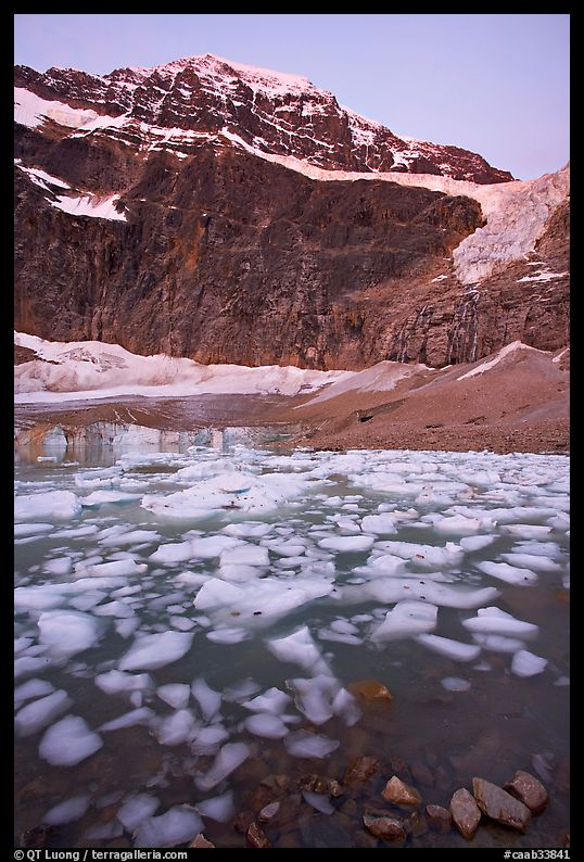 Cavell Pond, with the face of Mt Edith Cavell looming above, sunrise. Jasper National Park, Canadian Rockies, Alberta, Canada