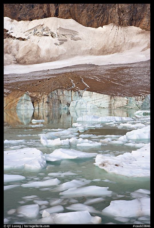Icebergs in glacial pond and Cavell Glacier. Jasper National Park, Canadian Rockies, Alberta, Canada