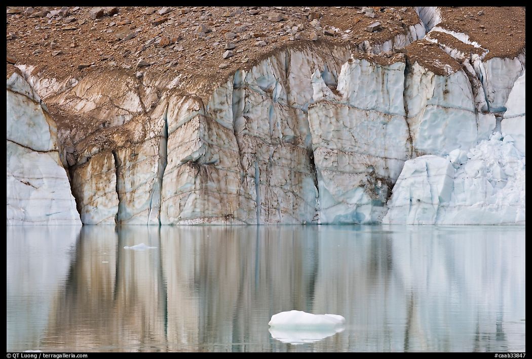 Iceberg and front of Cavell Glacier. Jasper National Park, Canadian Rockies, Alberta, Canada
