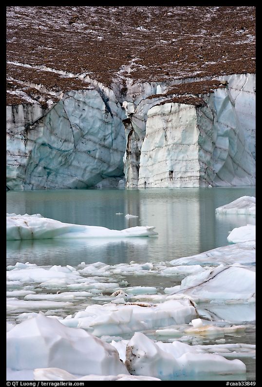 Cavell Glacier and icebergs detached from the glacier. Jasper National Park, Canadian Rockies, Alberta, Canada