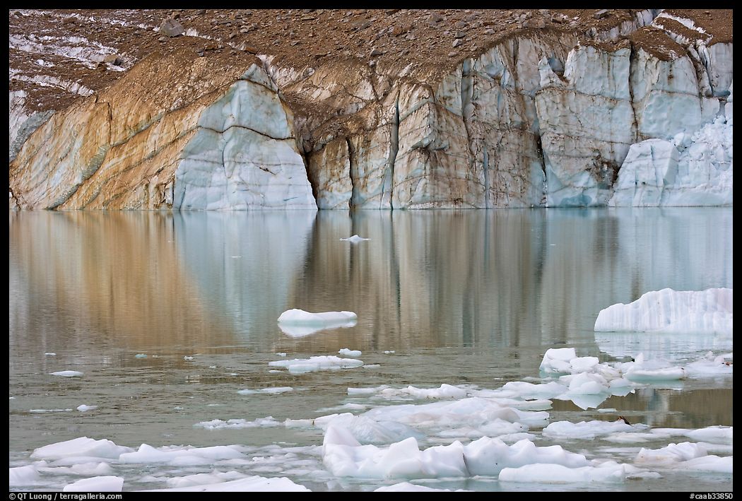 Front of Cavell Glacier reflected in glacial lake. Jasper National Park, Canadian Rockies, Alberta, Canada
