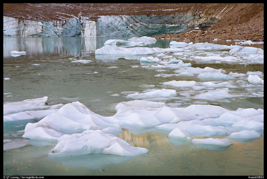 Icebergs, glacial pond, and Cavell Glacier front. Jasper National Park, Canadian Rockies, Alberta, Canada