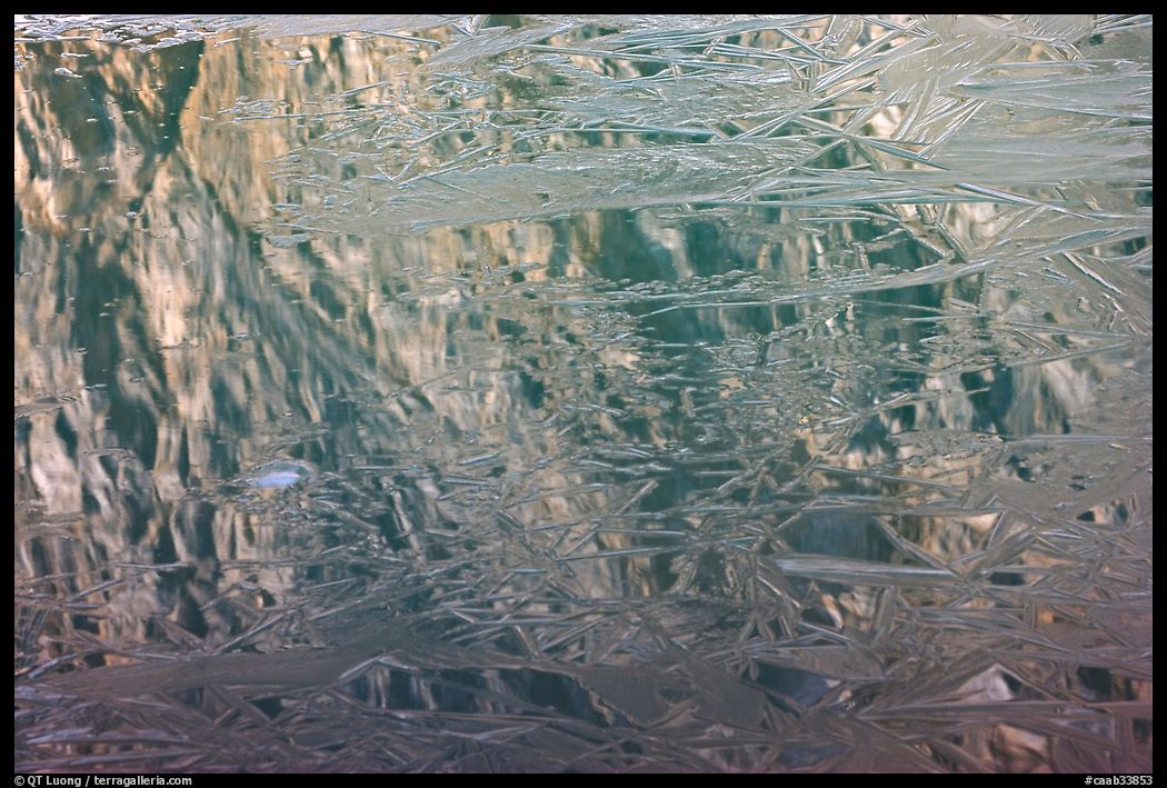 Reflections in partly frozen lake, Cavell Pond. Jasper National Park, Canadian Rockies, Alberta, Canada