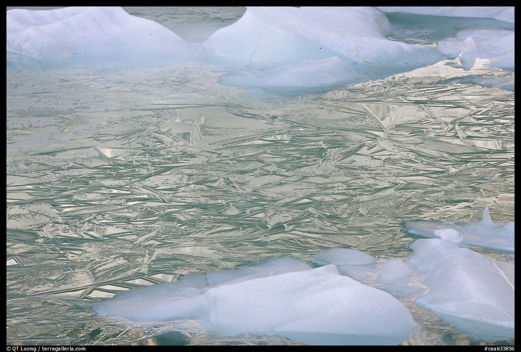 Ice patters and icebergs, Cavell Pond. Jasper National Park, Canadian Rockies, Alberta, Canada