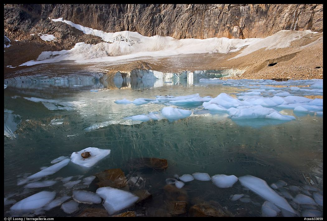 Icebergs, reflections, and Cavell Glacier. Jasper National Park, Canadian Rockies, Alberta, Canada