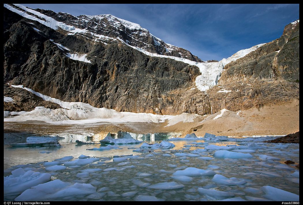 Icebergs and Cavell Pond at the base of Mt Edith Cavell, early morning. Jasper National Park, Canadian Rockies, Alberta, Canada