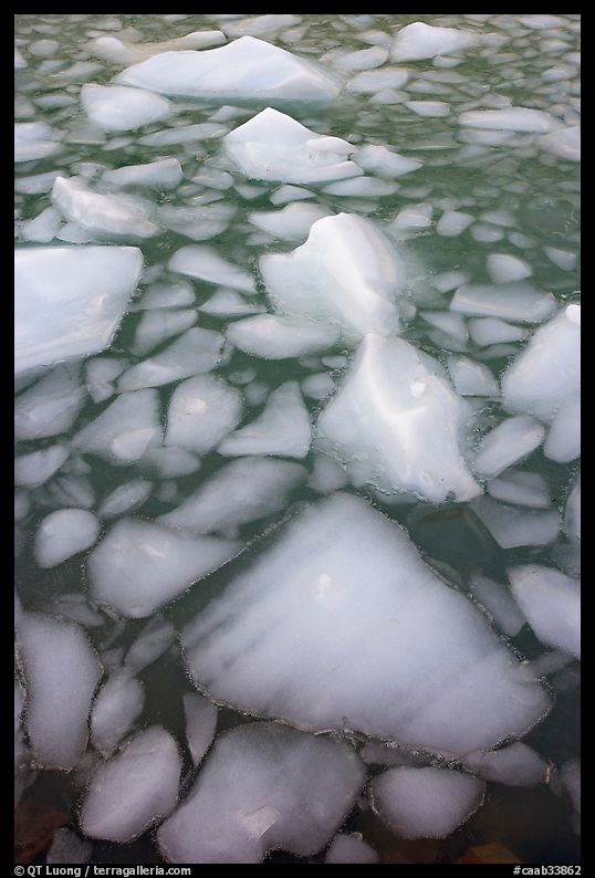Tile of icebergs, Cavel Pond. Jasper National Park, Canadian Rockies, Alberta, Canada