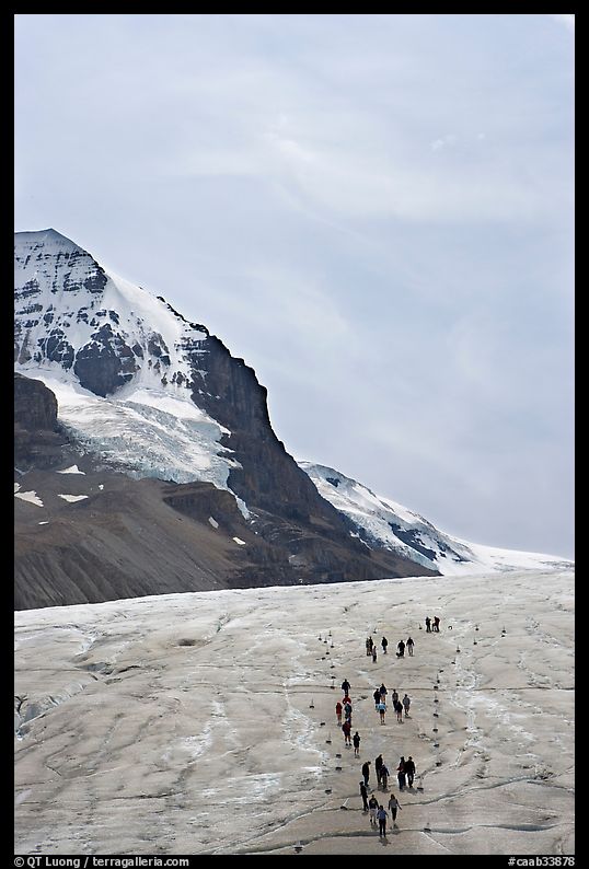 Athabasca Glacier with people in delimited area. Jasper National Park, Canadian Rockies, Alberta, Canada