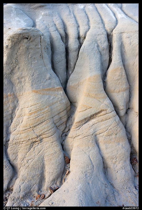 Eroded mudstone, Dinosaur Provincial Park. Alberta, Canada