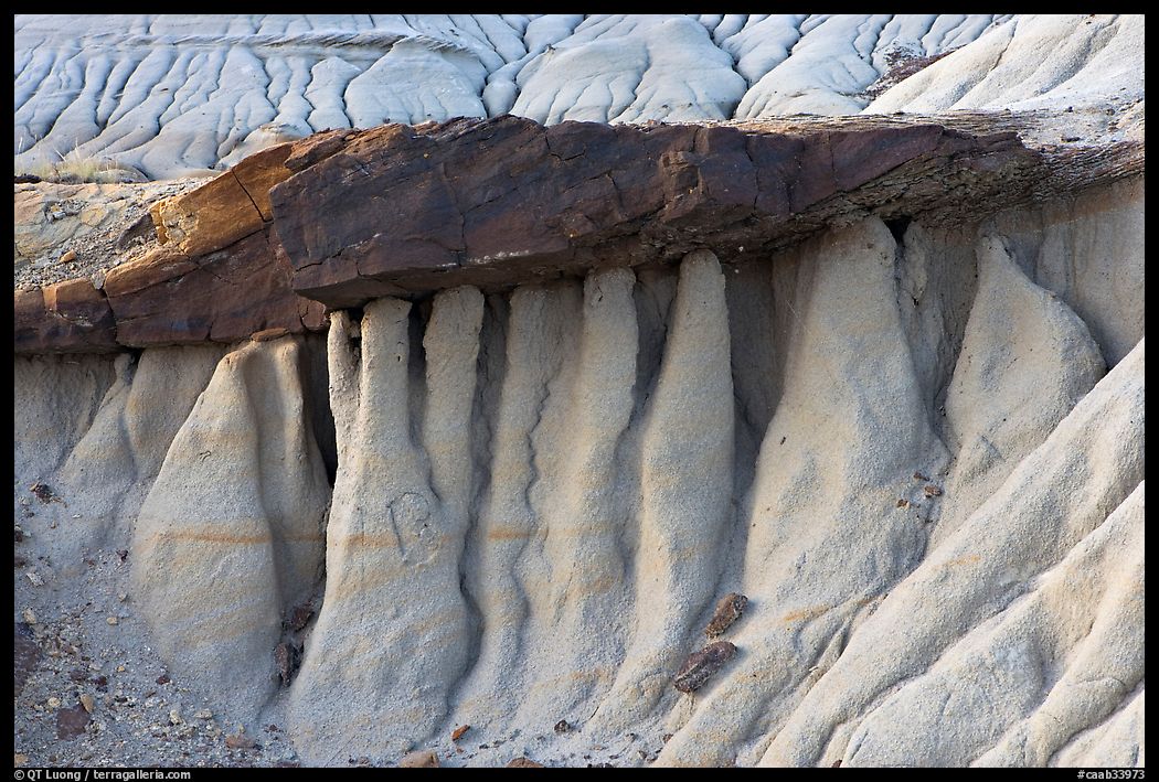 Eroded mud and caprock, Dinosaur Provincial Park. Alberta, Canada
