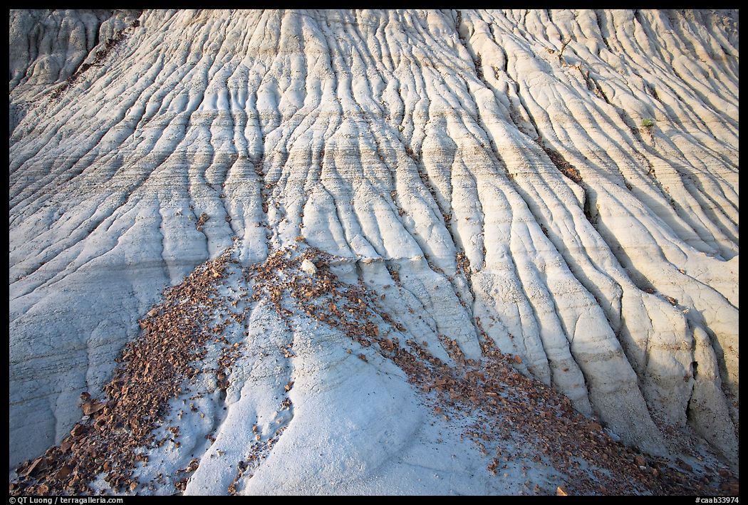 Badlands detail, with eroded clay and gravel, Dinosaur Provincial Park. Alberta, Canada