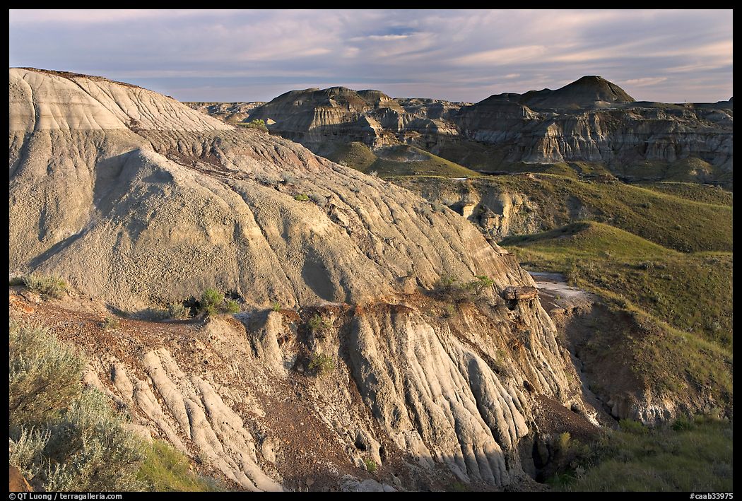 Badlands and hills, Dinosaur Provincial Park. Alberta, Canada