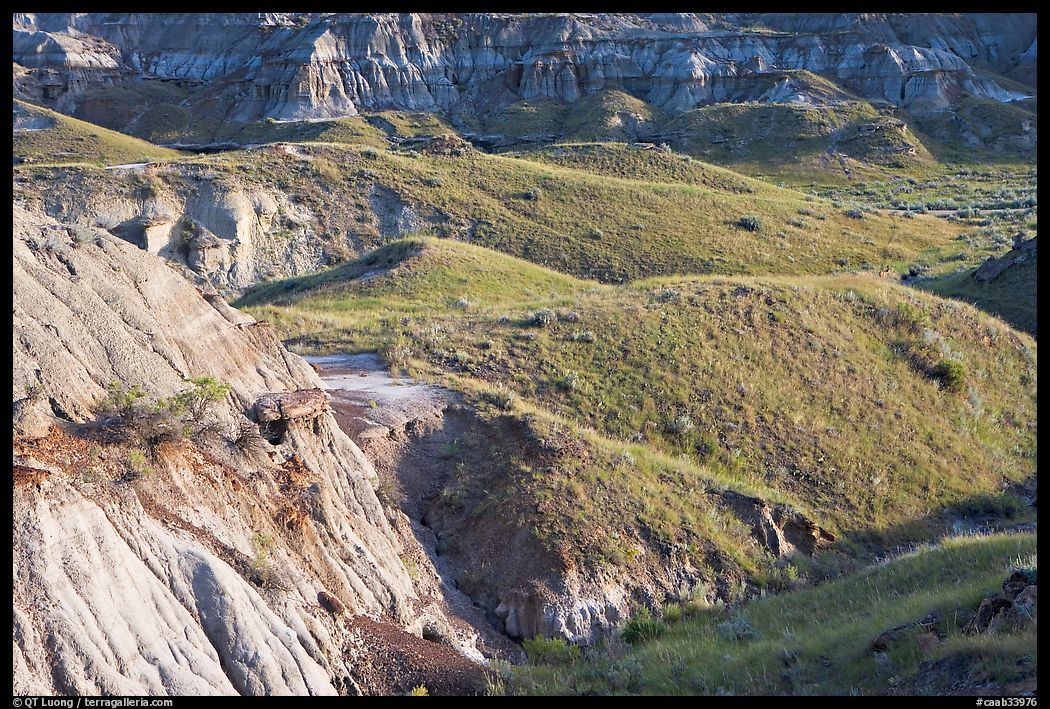 Hills and badlands, morning, Dinosaur Provincial Park. Alberta, Canada