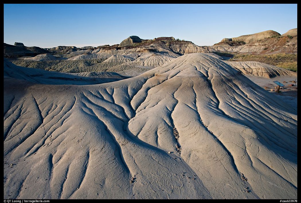 Eroded badlands, morning, Dinosaur Provincial Park. Alberta, Canada