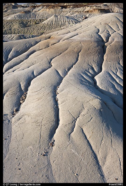 Patterns of mudstone erosion, Dinosaur Provincial Park. Alberta, Canada