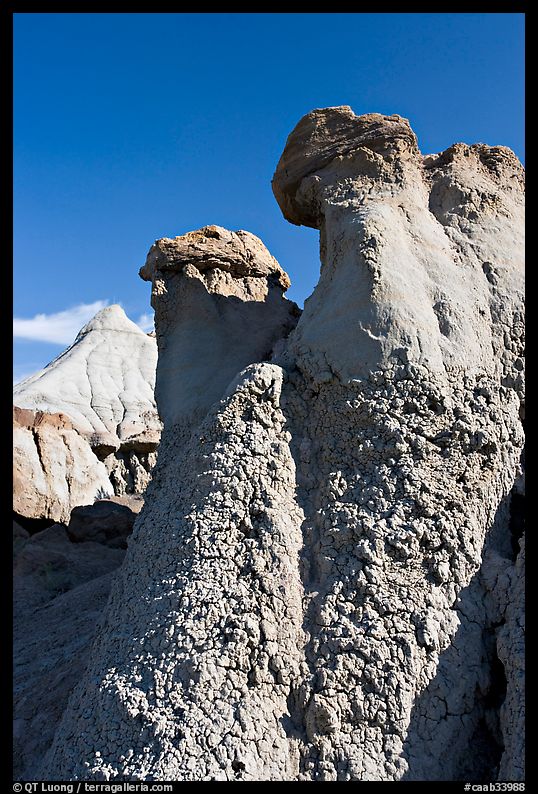 Capstone chimneys and popcorn mudstone, Dinosaur Provincial Park. Alberta, Canada