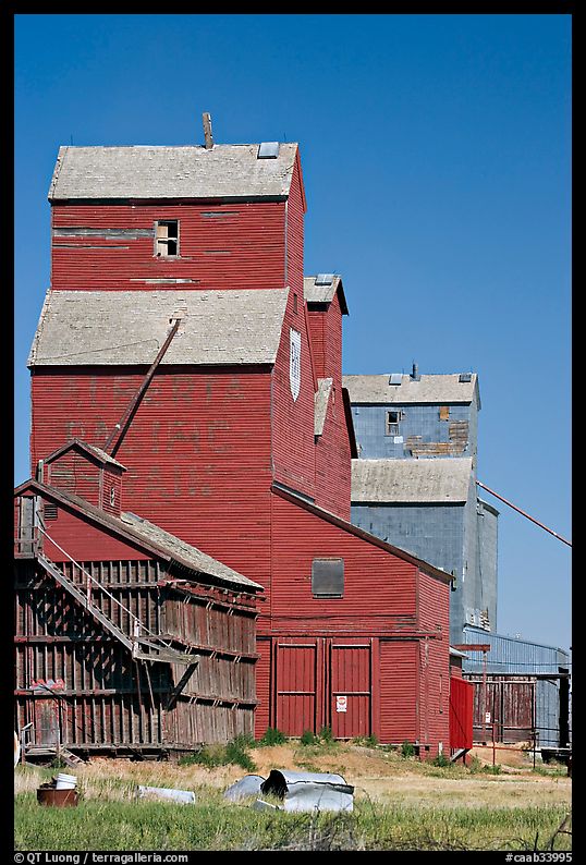 Wood grain storage buildings. Alberta, Canada