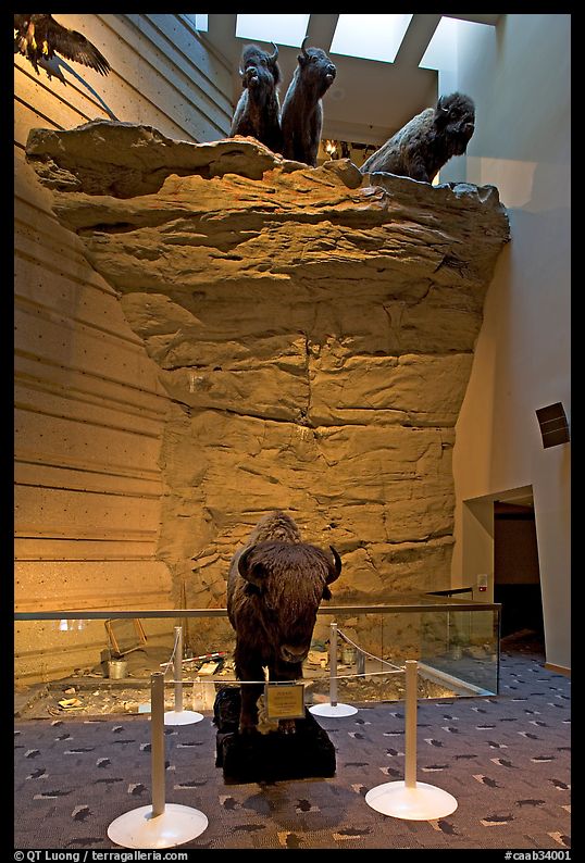 Interpretative center exhibit, Head-smashed-In Buffalo Jump. Alberta, Canada
