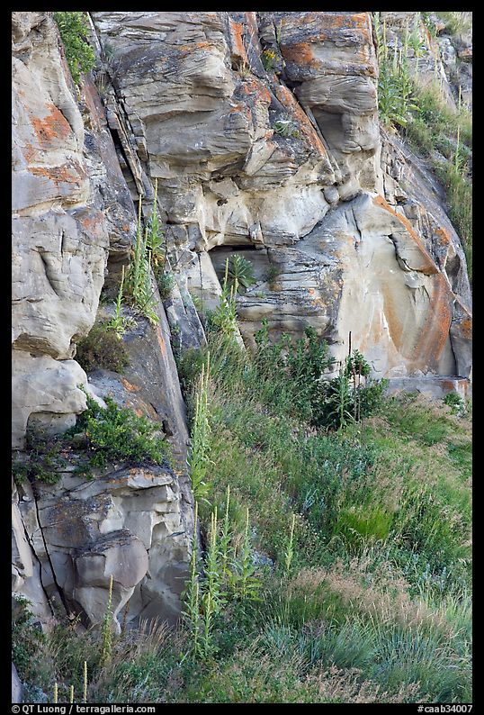 Cliff walls, Head-Smashed-In Buffalo Jump. Alberta, Canada