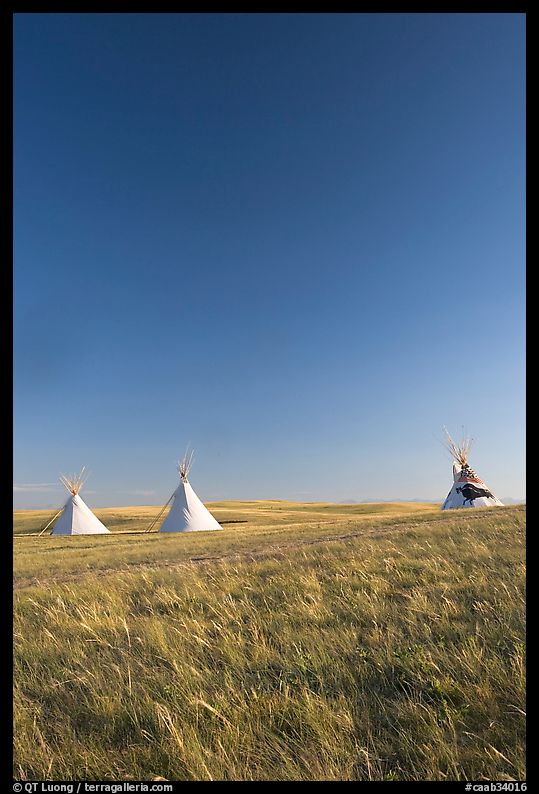 Teepee tents and prairie, late afternoon, Head-Smashed-In Buffalo Jump. Alberta, Canada