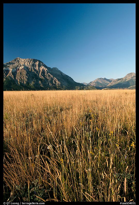 Grass prairie and front range Rocky Mountain peaks. Waterton Lakes National Park, Alberta, Canada
